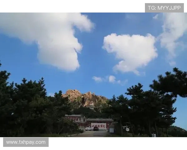 神剧本男单萨多洛夫夺金风云记